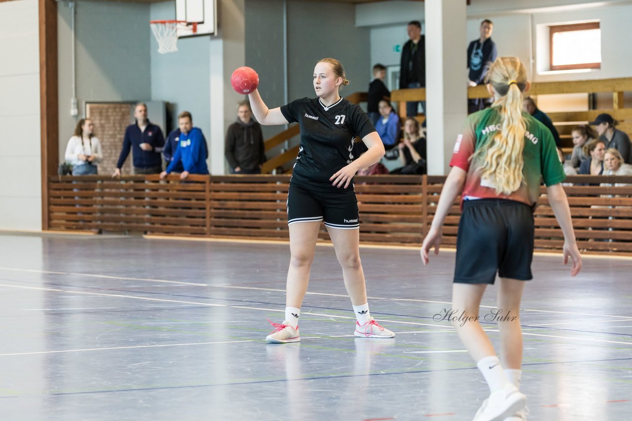 Bild 223 - wDJ HSG Kremperheide/Muensterdorf - TSV SR Schuelp : Ergebnis: 26:5